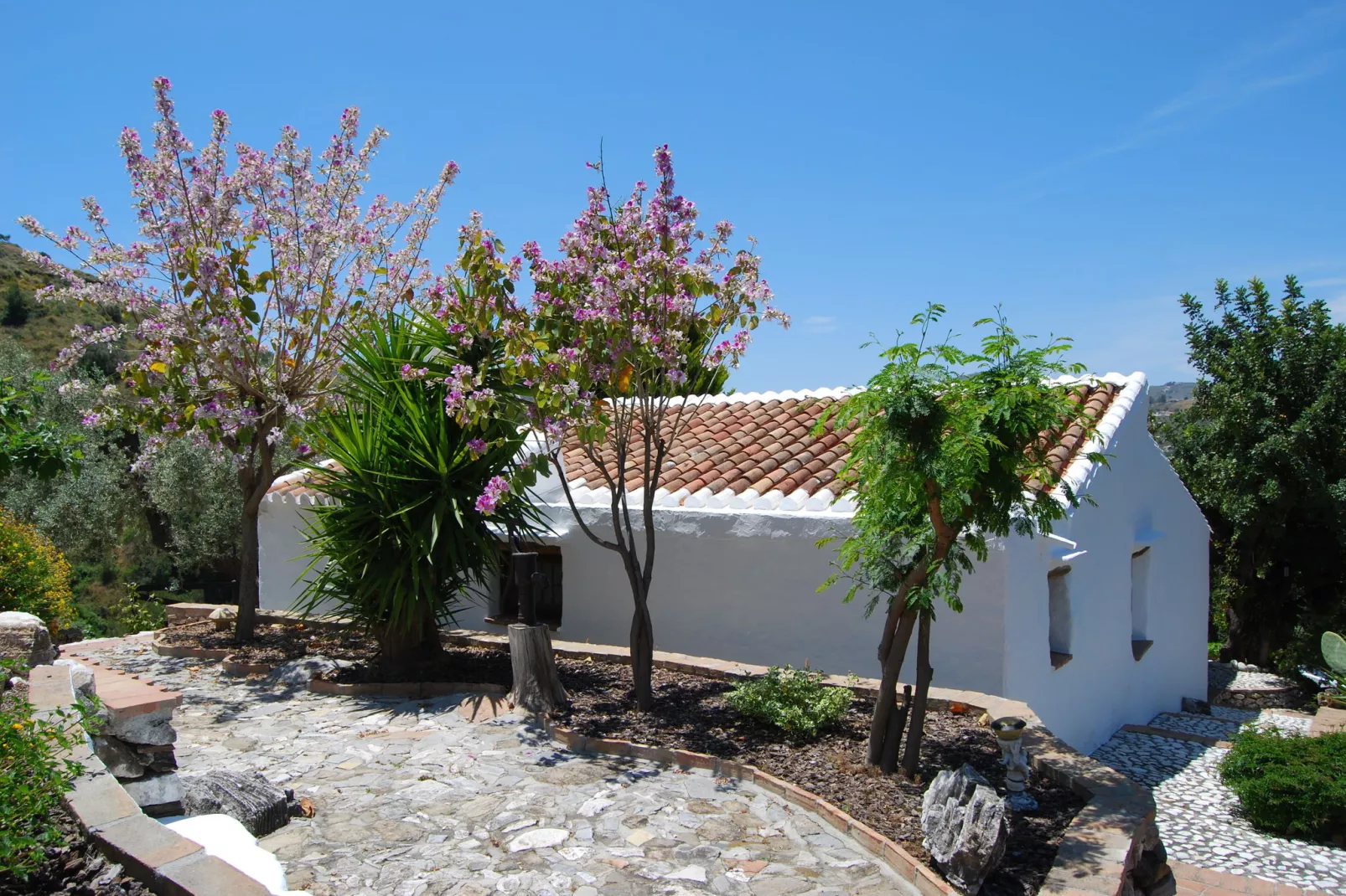 Cortijo Ricardo-Exterior summer