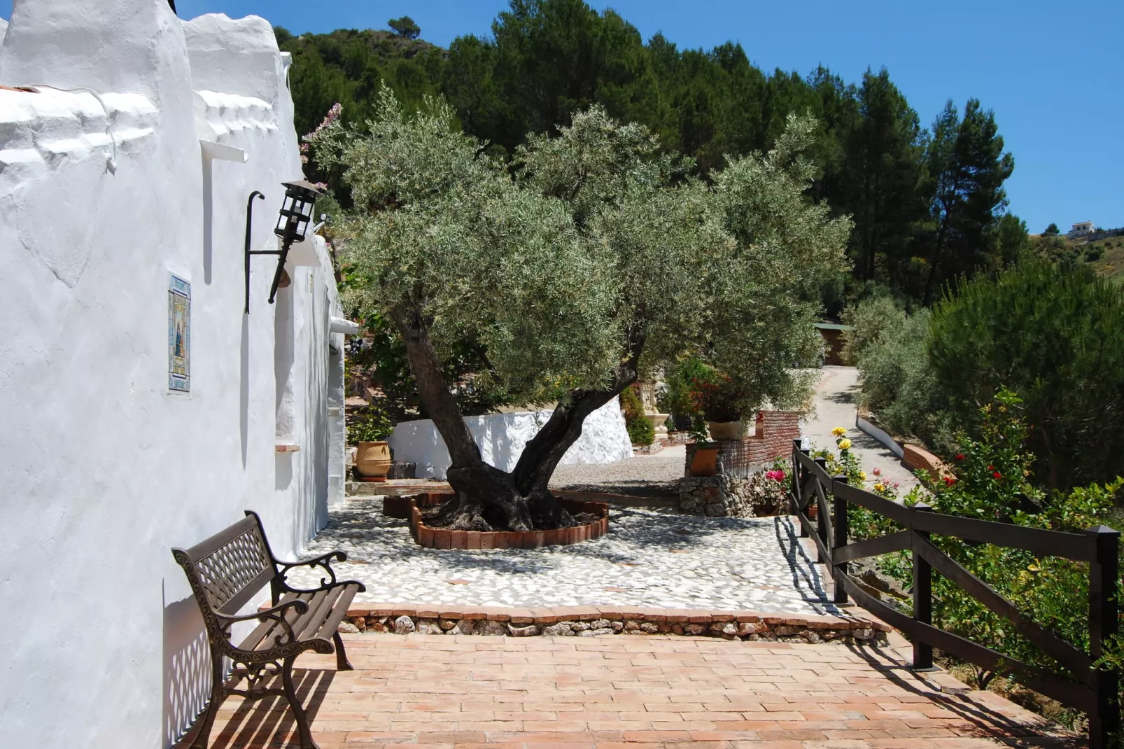 Cortijo Ricardo-Exterior summer
