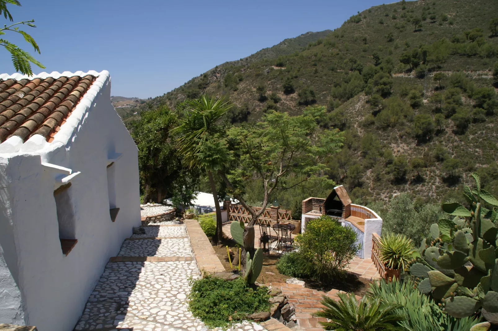 Cortijo Ricardo-View summer
