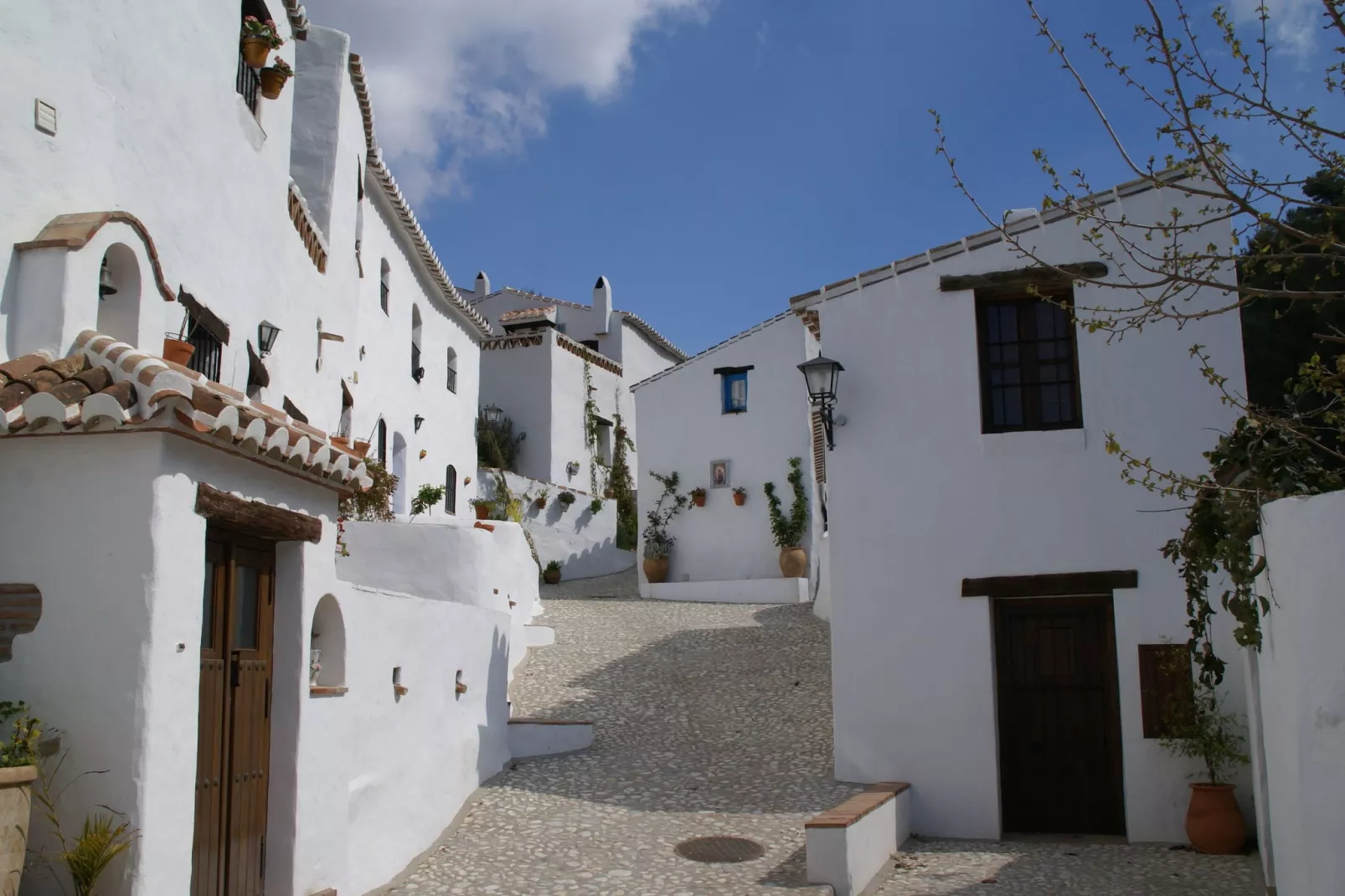 Cortijo Ricardo-Areas summer 1km