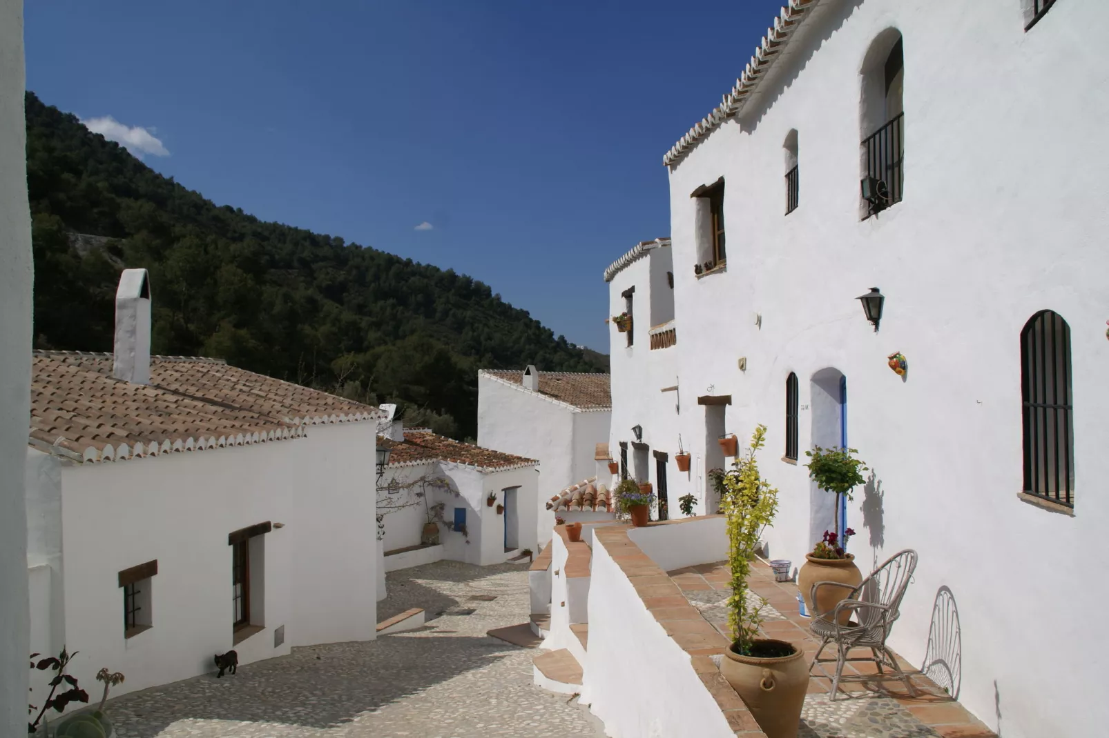 Cortijo Ricardo-Areas summer 1km