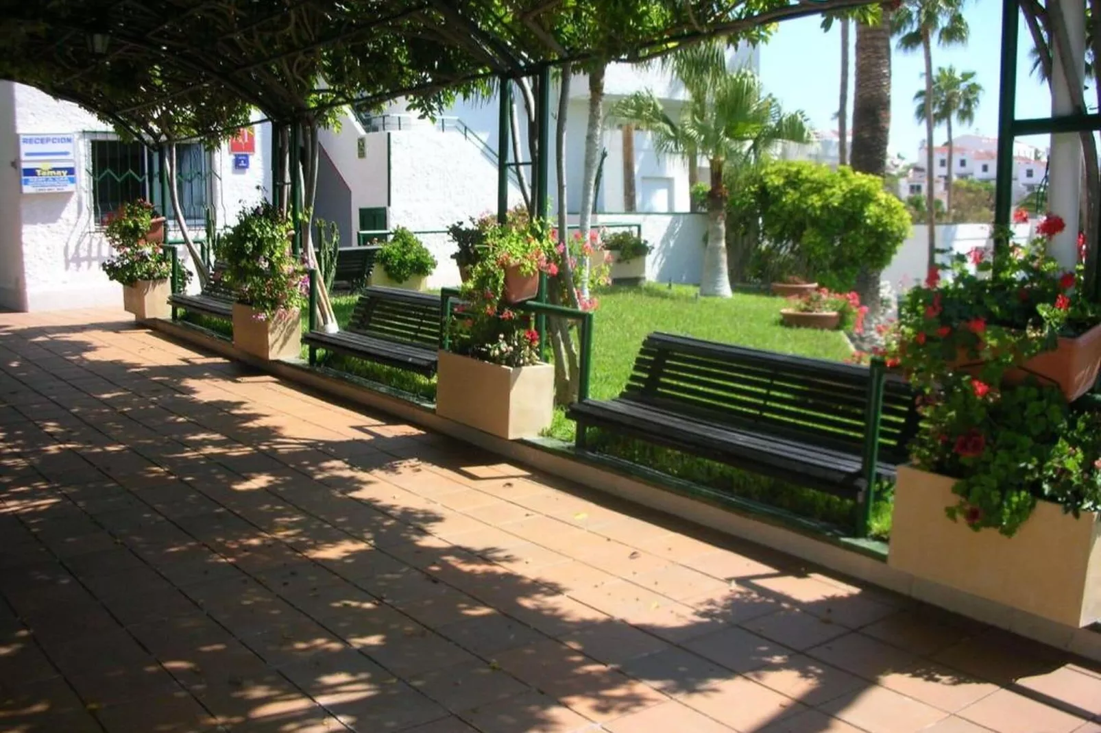 El Sombrero II-Gardens summer