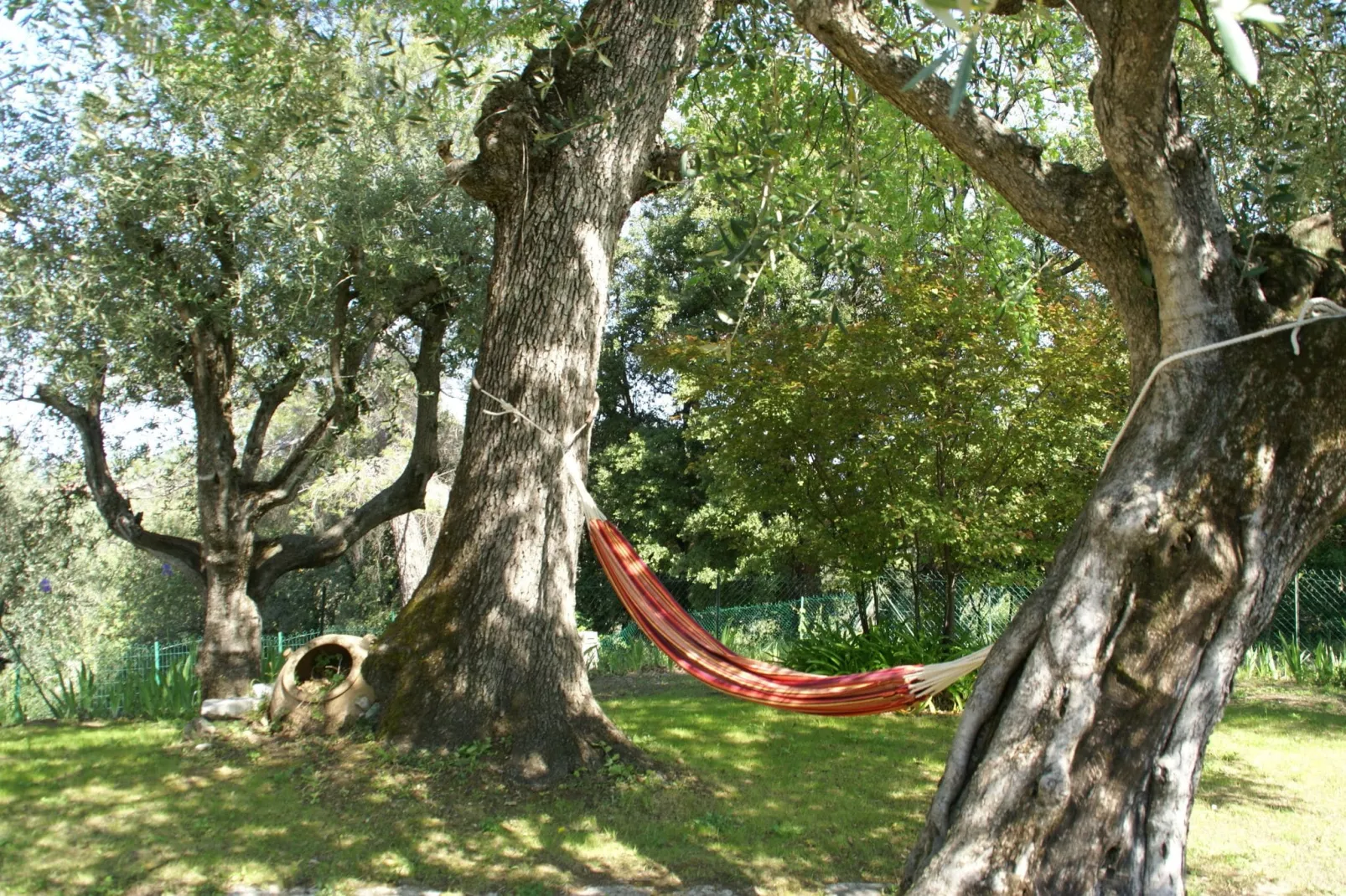 Maison de Campagne Mouans Sartoux-Gärten Sommer