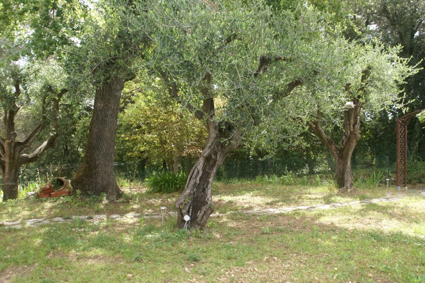 Maison de Campagne Mouans Sartoux-Gärten Sommer
