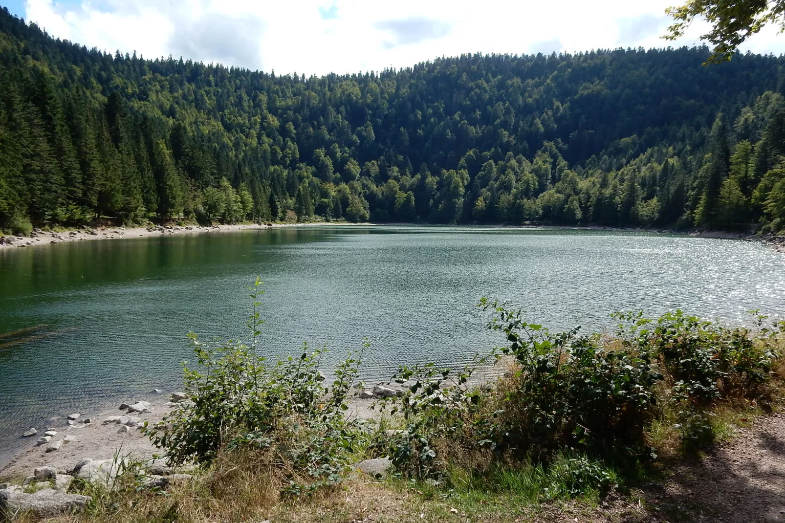 Liezey - Gérardmer-Areas summer 20km