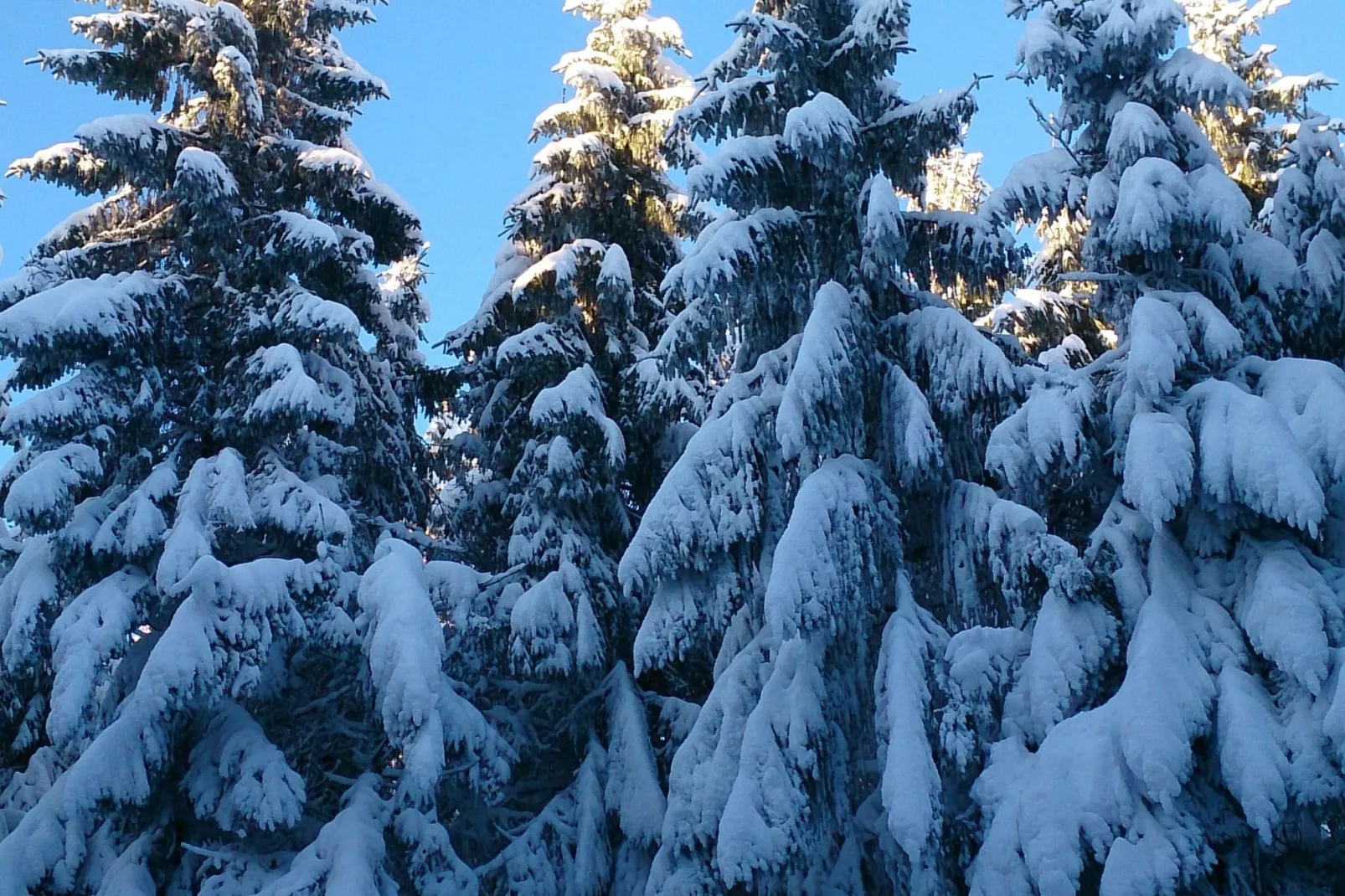 Liezey - Gérardmer-View winter