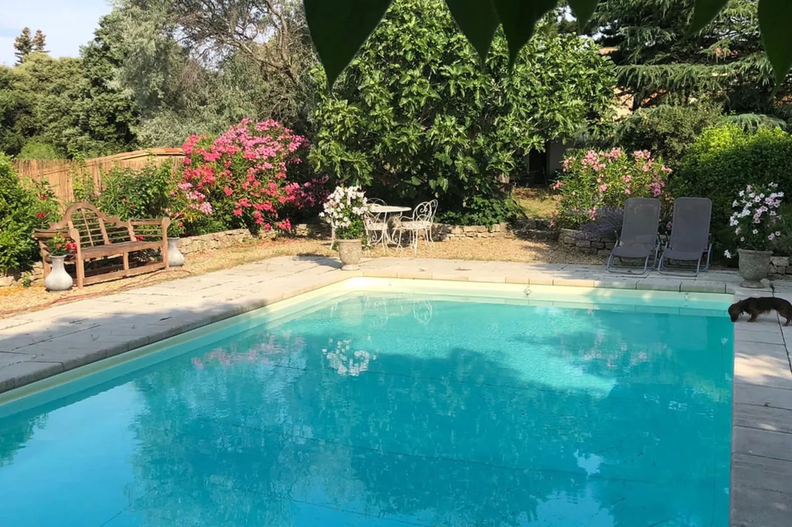Repos-Pool