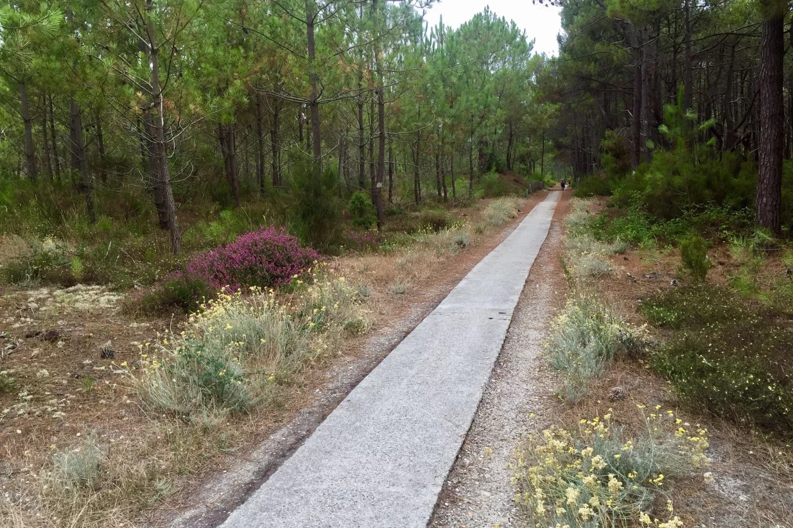 Clos les Pins-Areas summer 1km