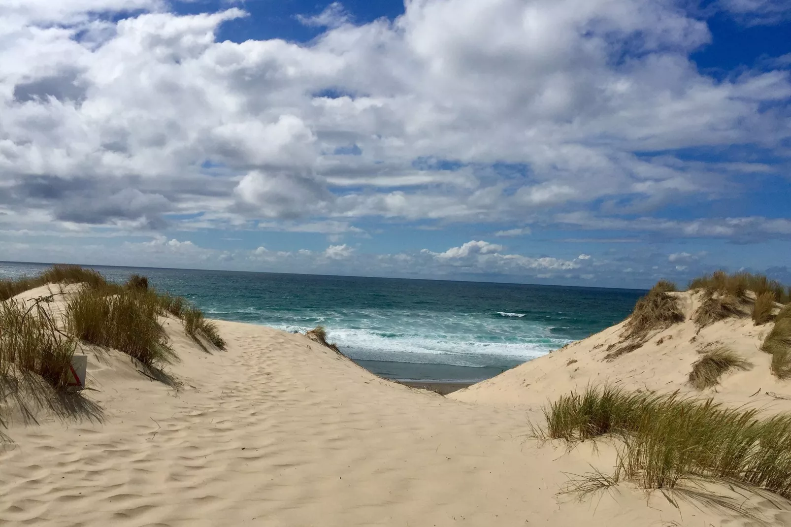 Clos les Pins-Areas summer 5km