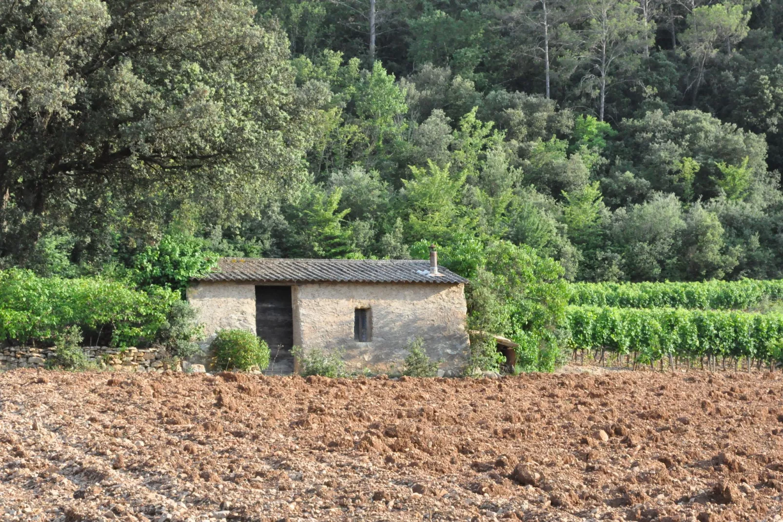 Les Lavandes-Areas summer 1km