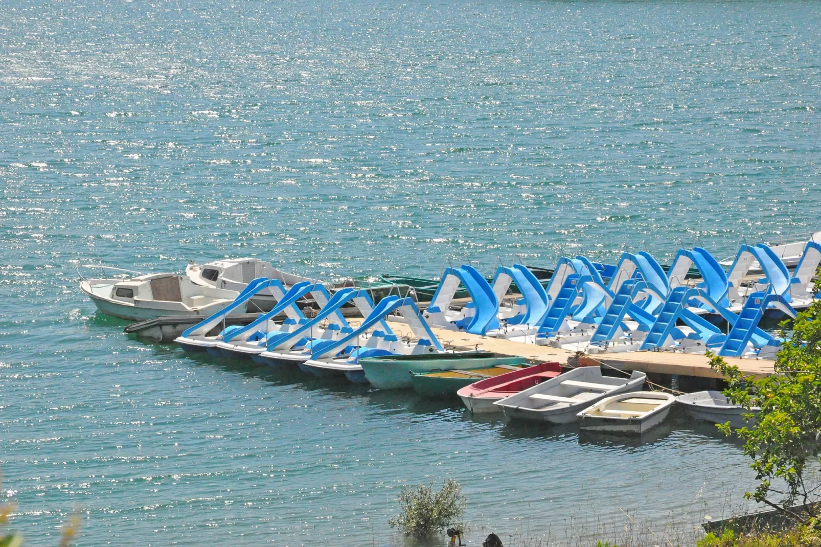 Les Lavandes-Areas summer 20km