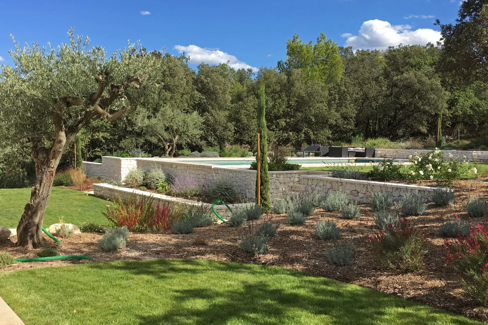 Mazet provencale-Gardens summer