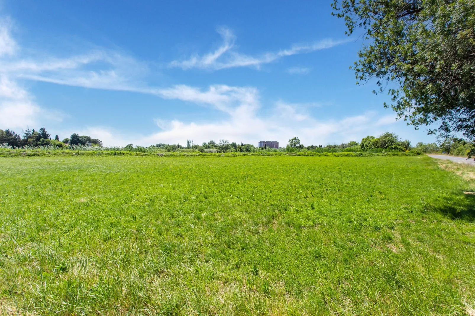 Mazet de Camargue-Areas summer 5km