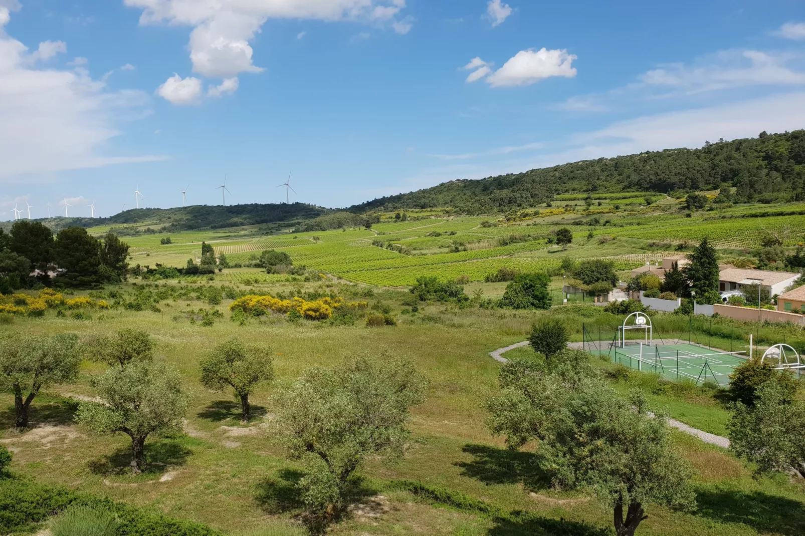 Portanelle 8 p-View summer