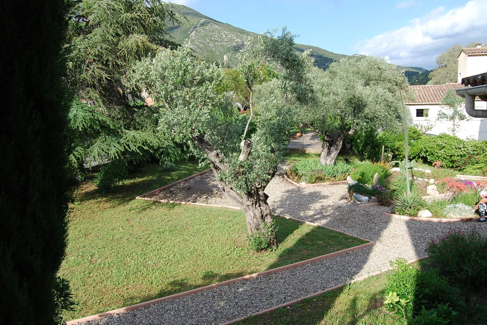 Au bord de L'Orb-Gardens summer