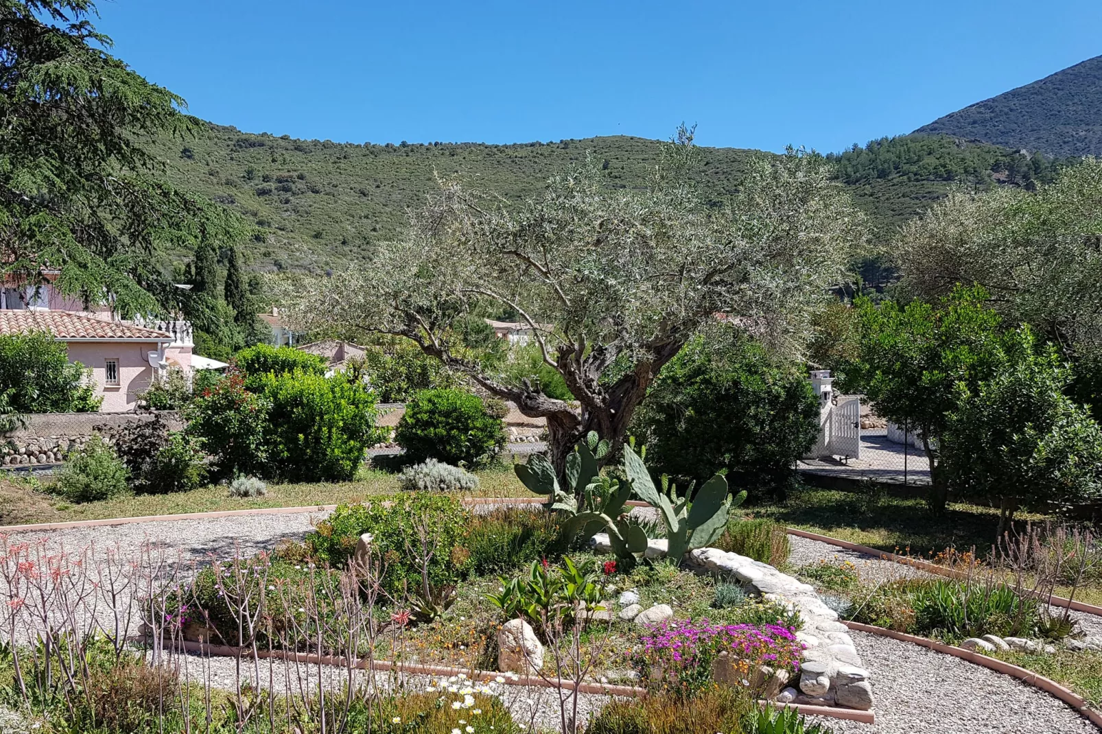 Au bord de L'Orb-Gardens summer