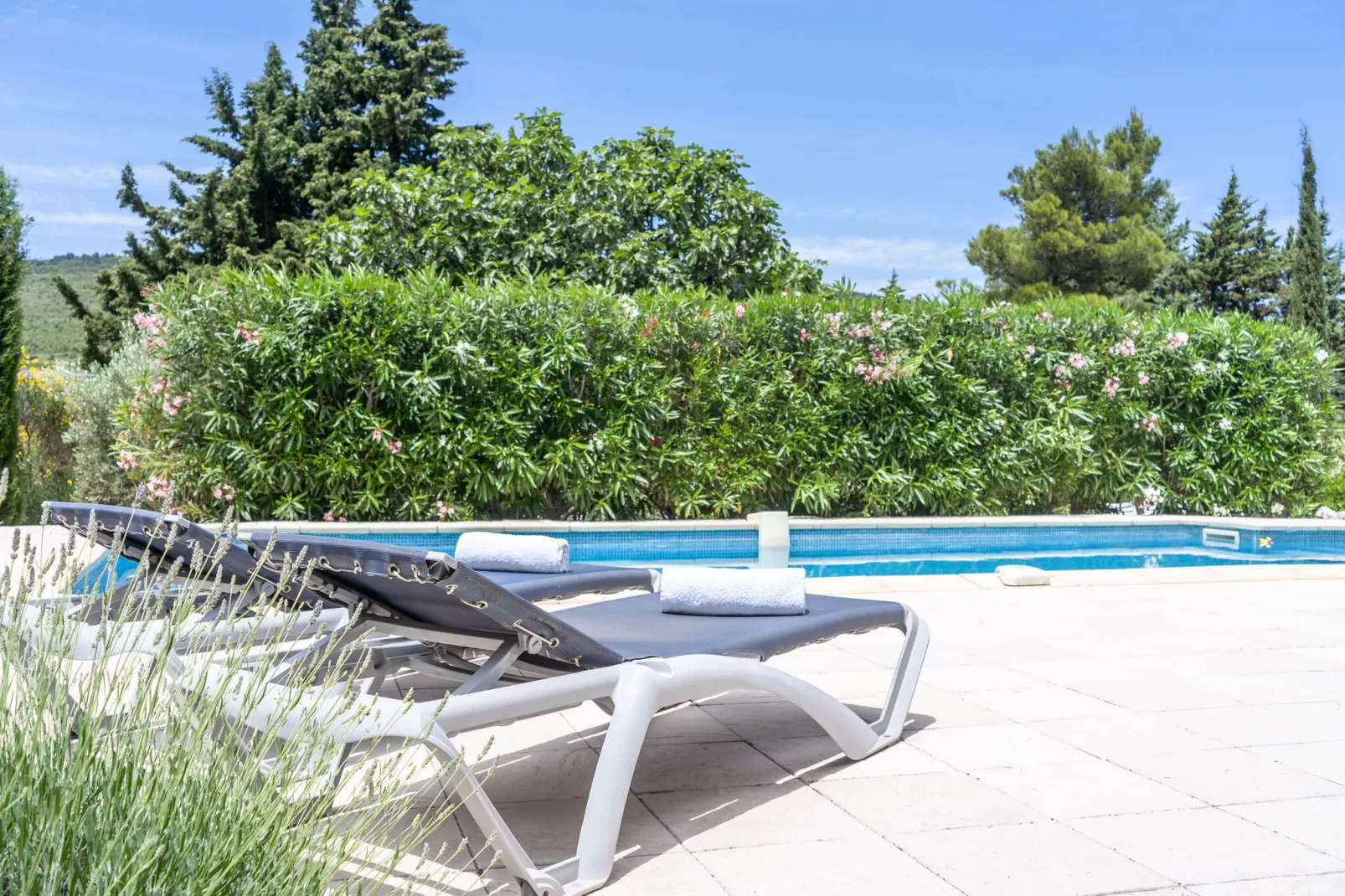 Aux Arbres Verts-Pool