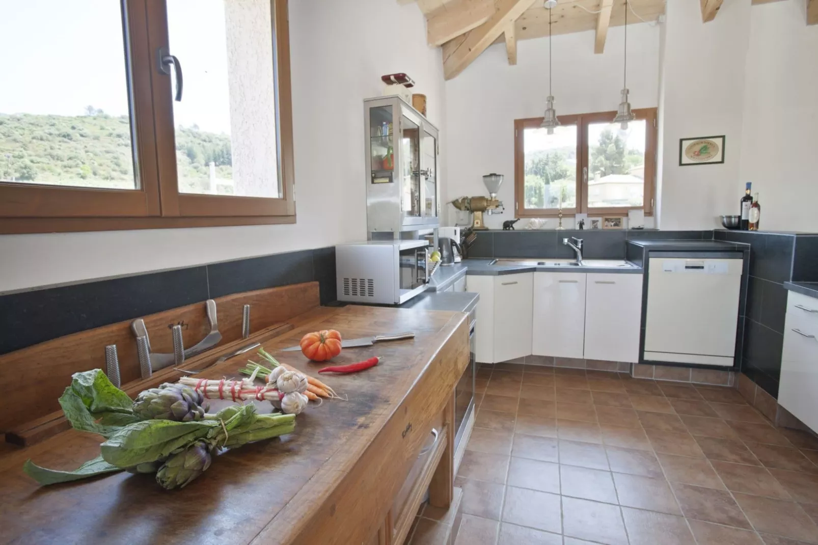 Villa Bonn Idee-Kitchen