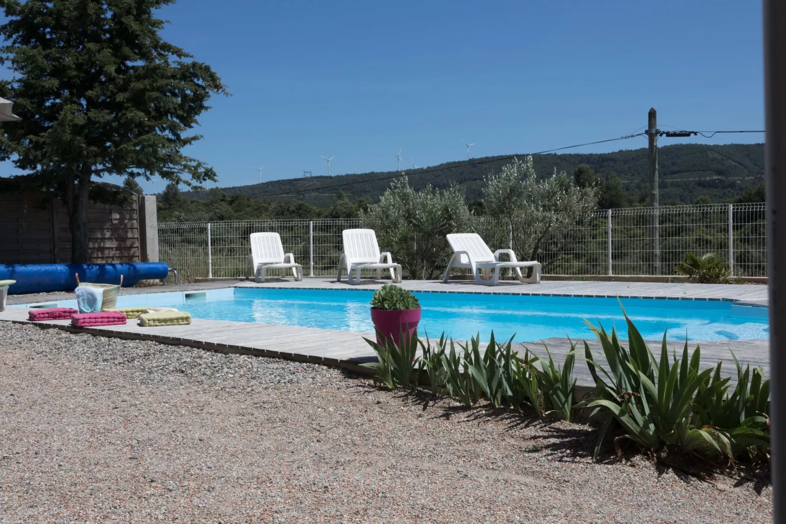 Villa Canissa-Gardens summer