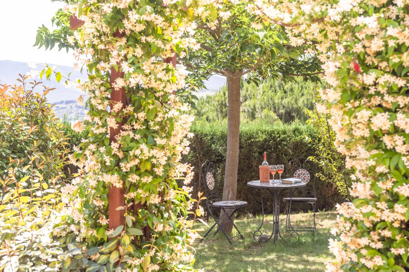 Villa Tranquille-Gardens summer