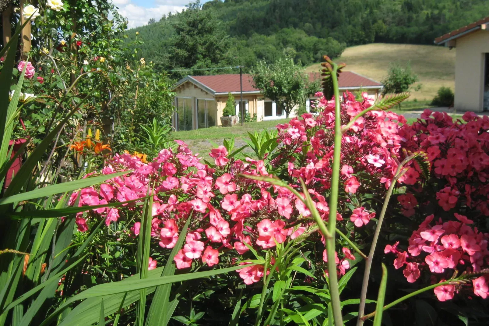 CHALET BELLEVUE-Areas summer 1km