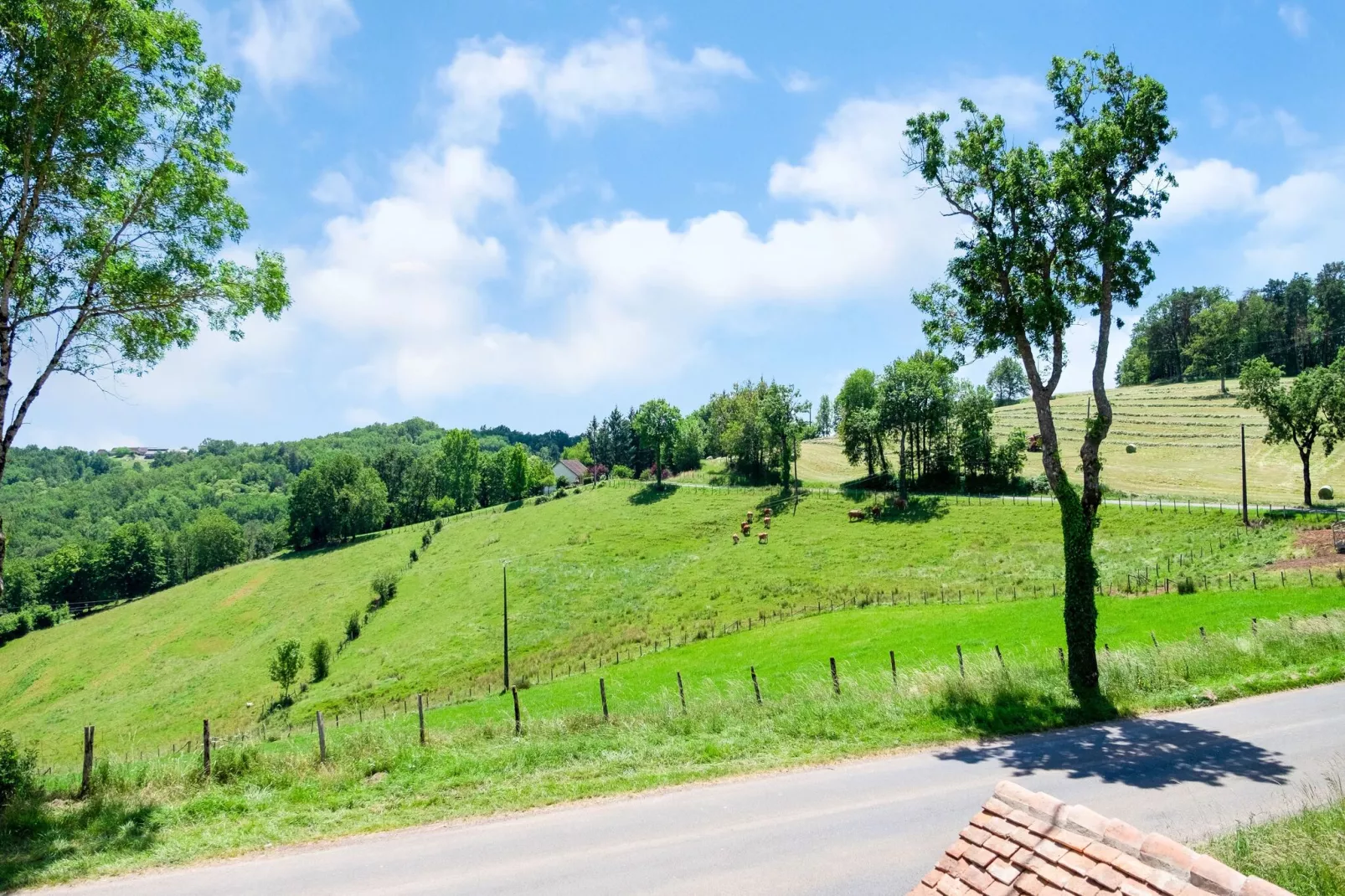 La Forge-Areas summer 1km
