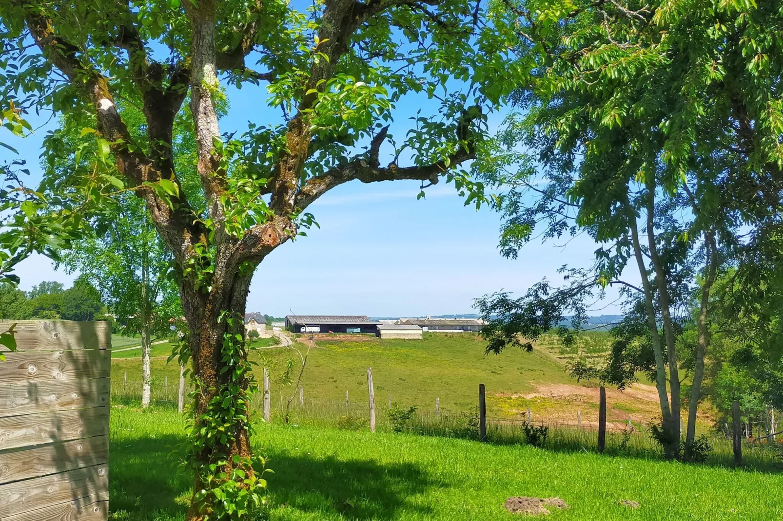 La Forge-Areas summer 5km