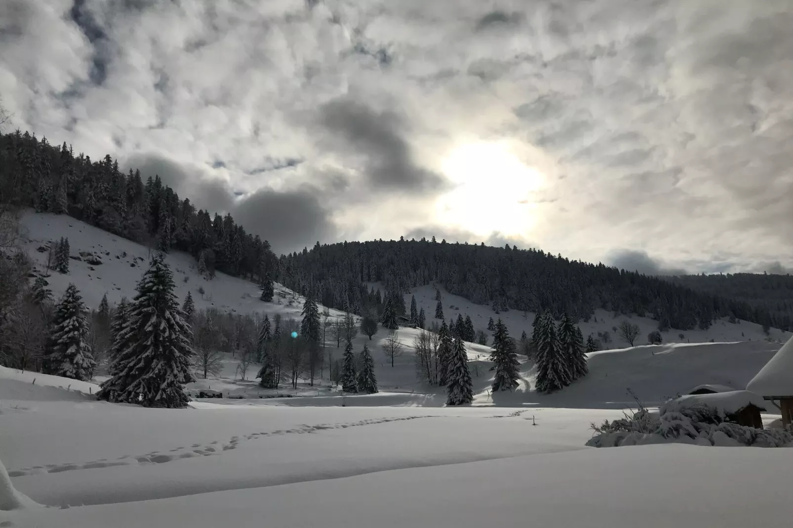 APPARTEMENT VOLVERT - LA GENTIANE-Zone d'hiver à 1 km