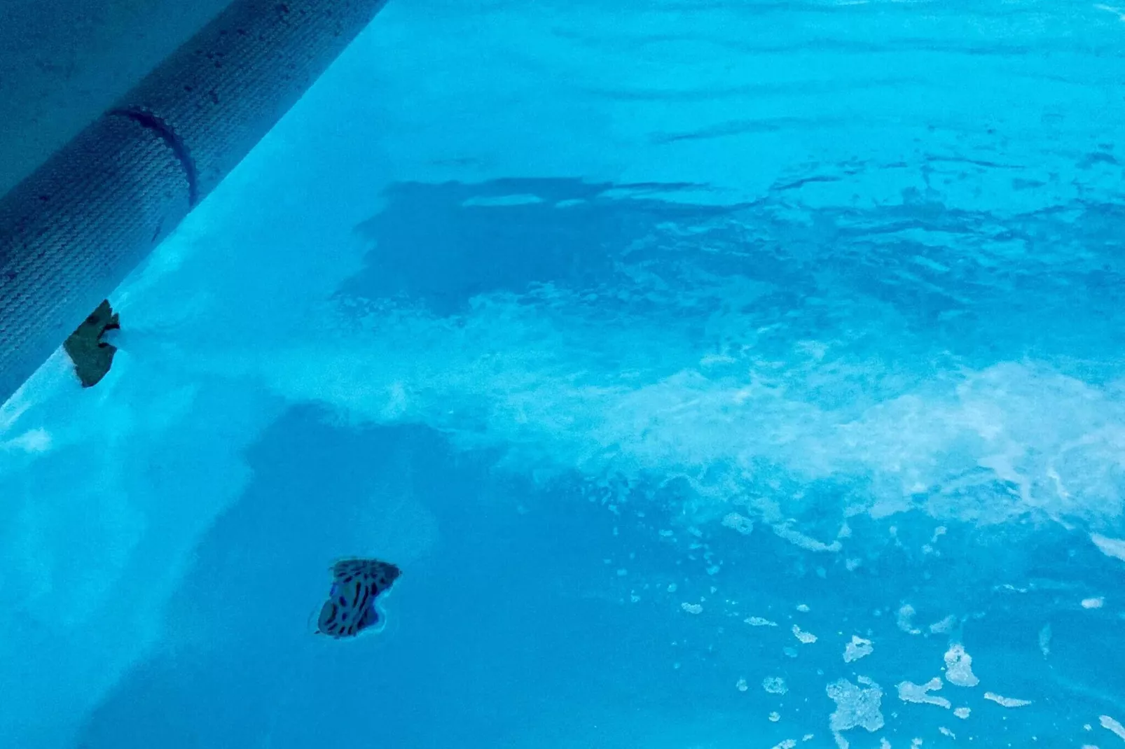 Maison de vacances pour 12 a Ringkøbing-By Traum-Piscine