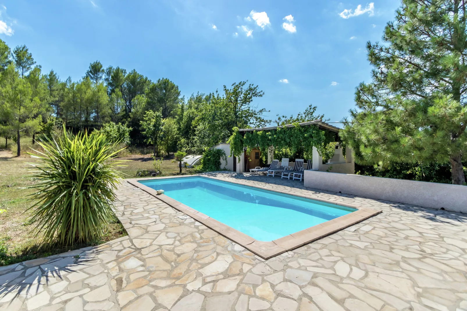 Petite Jeanne-Pool