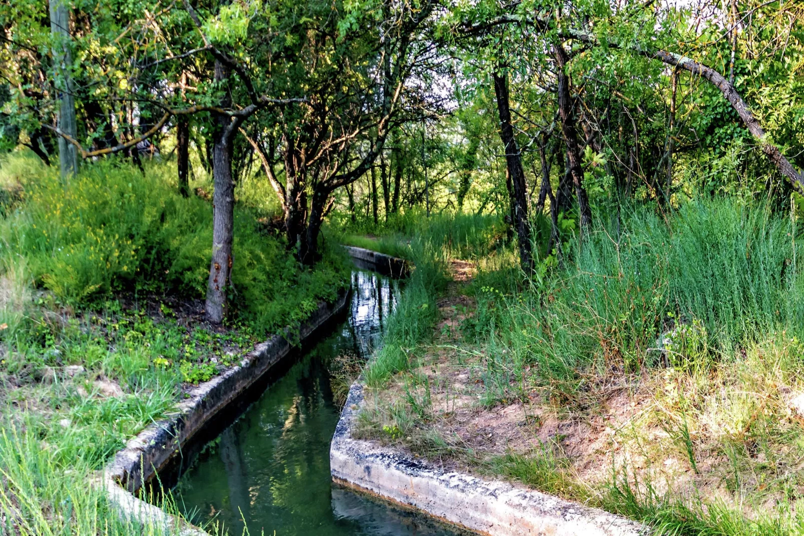 Petite Jeanne-Areas summer 5km