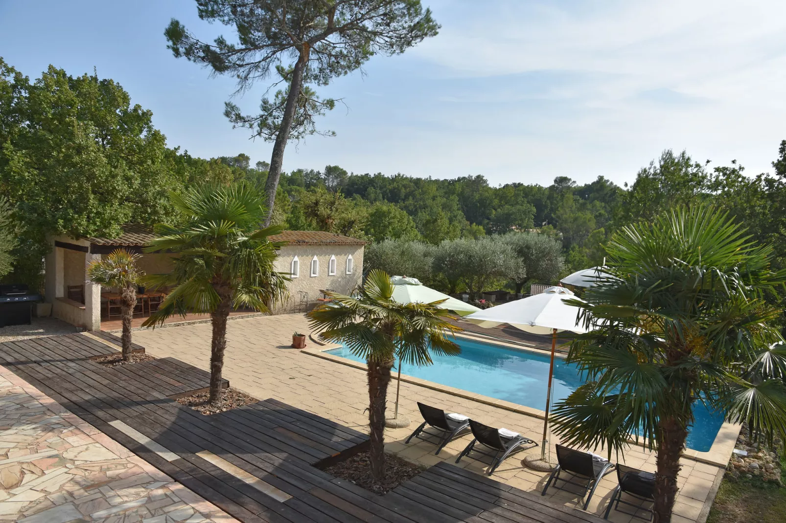 La Cigale de Provence-View summer