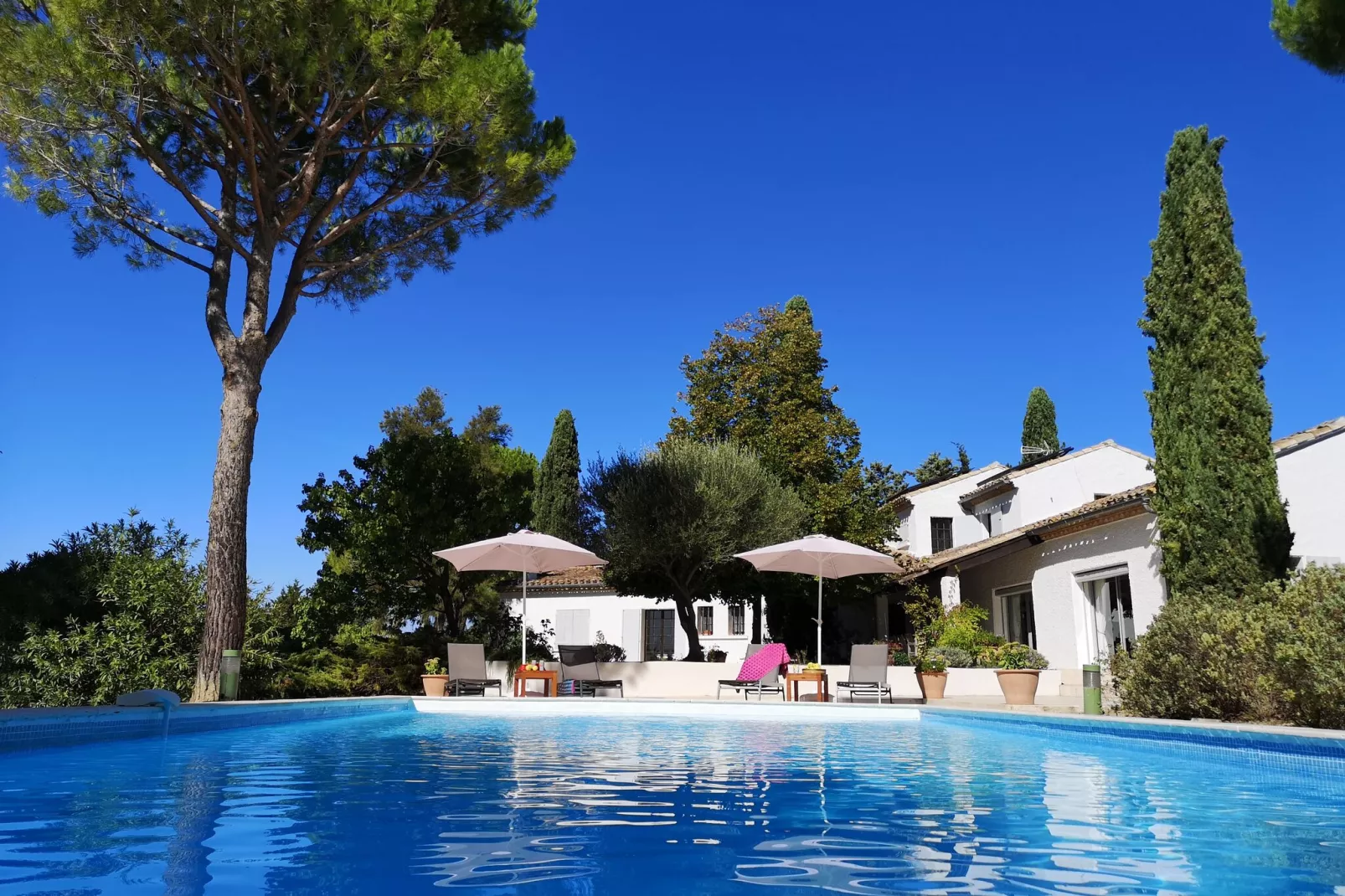 Mas des Trabesses-Exterior summer