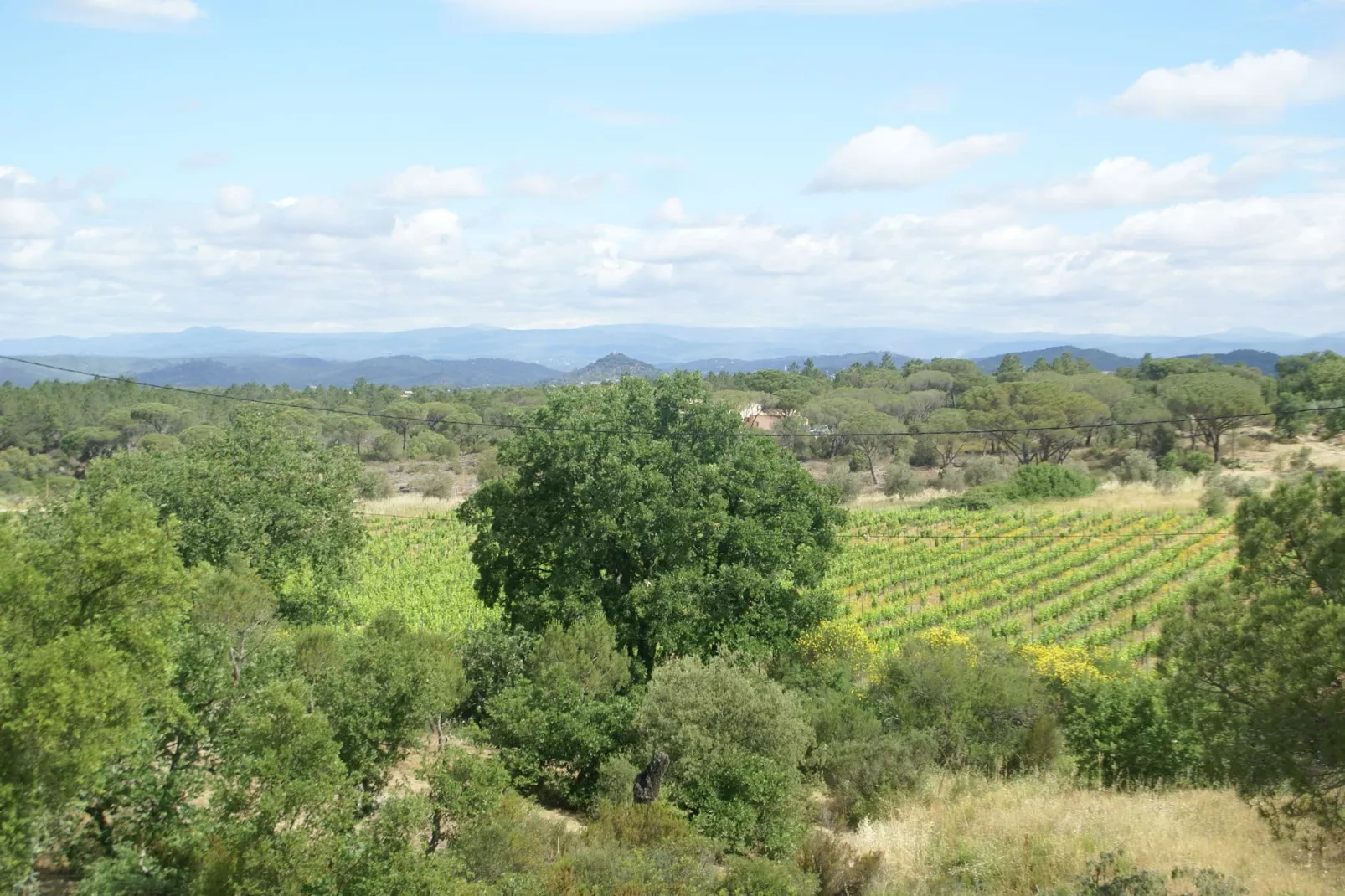 Vidauban 4-Gebiete Sommer 1 km