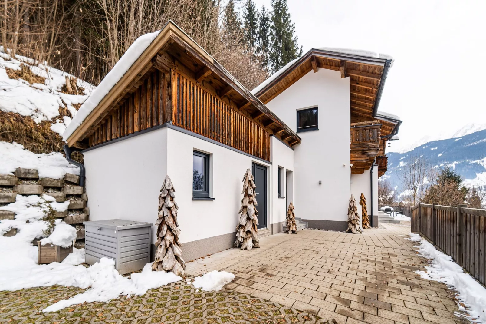Chalet Salzach-Exterior winter