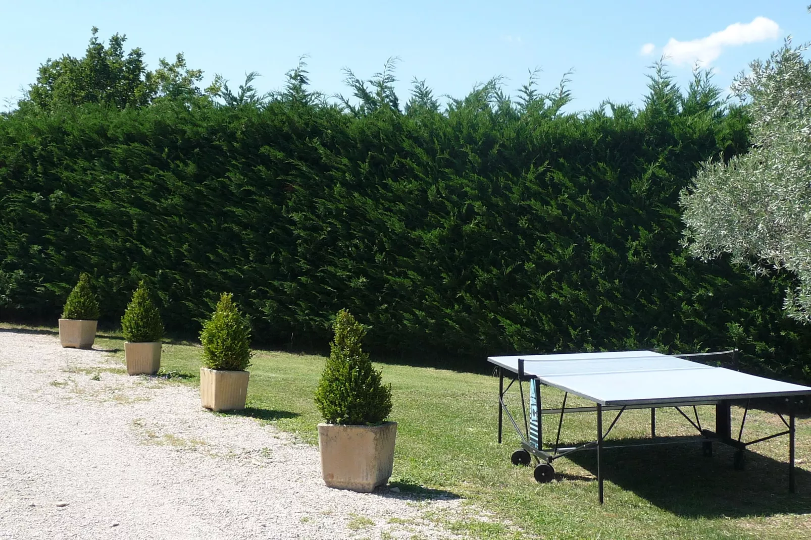 Villa Coda-Gardens summer