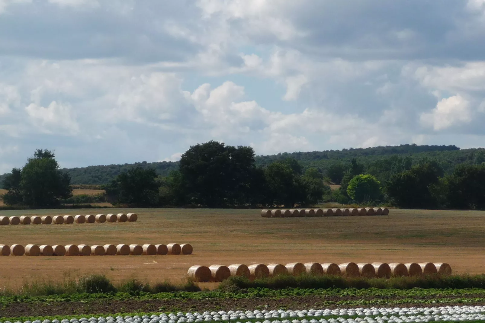 LA LUBERONNE-Zones d'été à 1 km