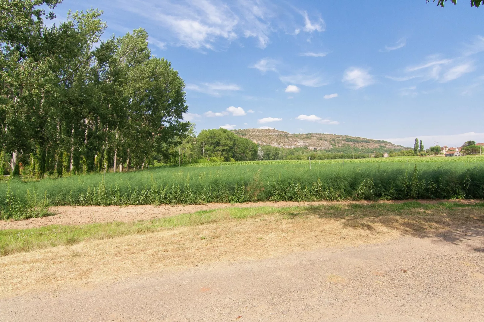 Belle Demeure Ribot 11 Pers-Aussicht Sommer