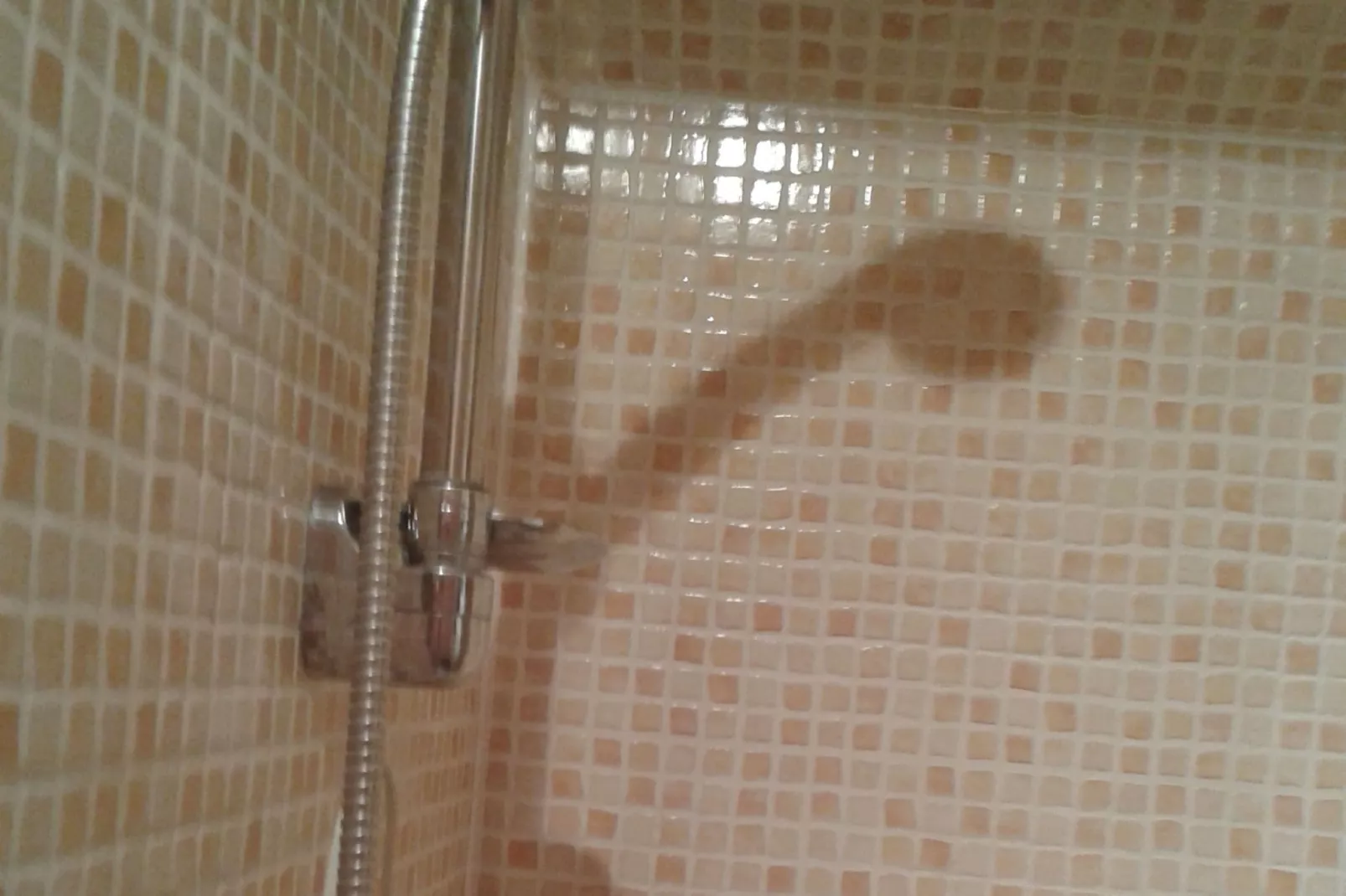 Chalet de montagne-Bathroom