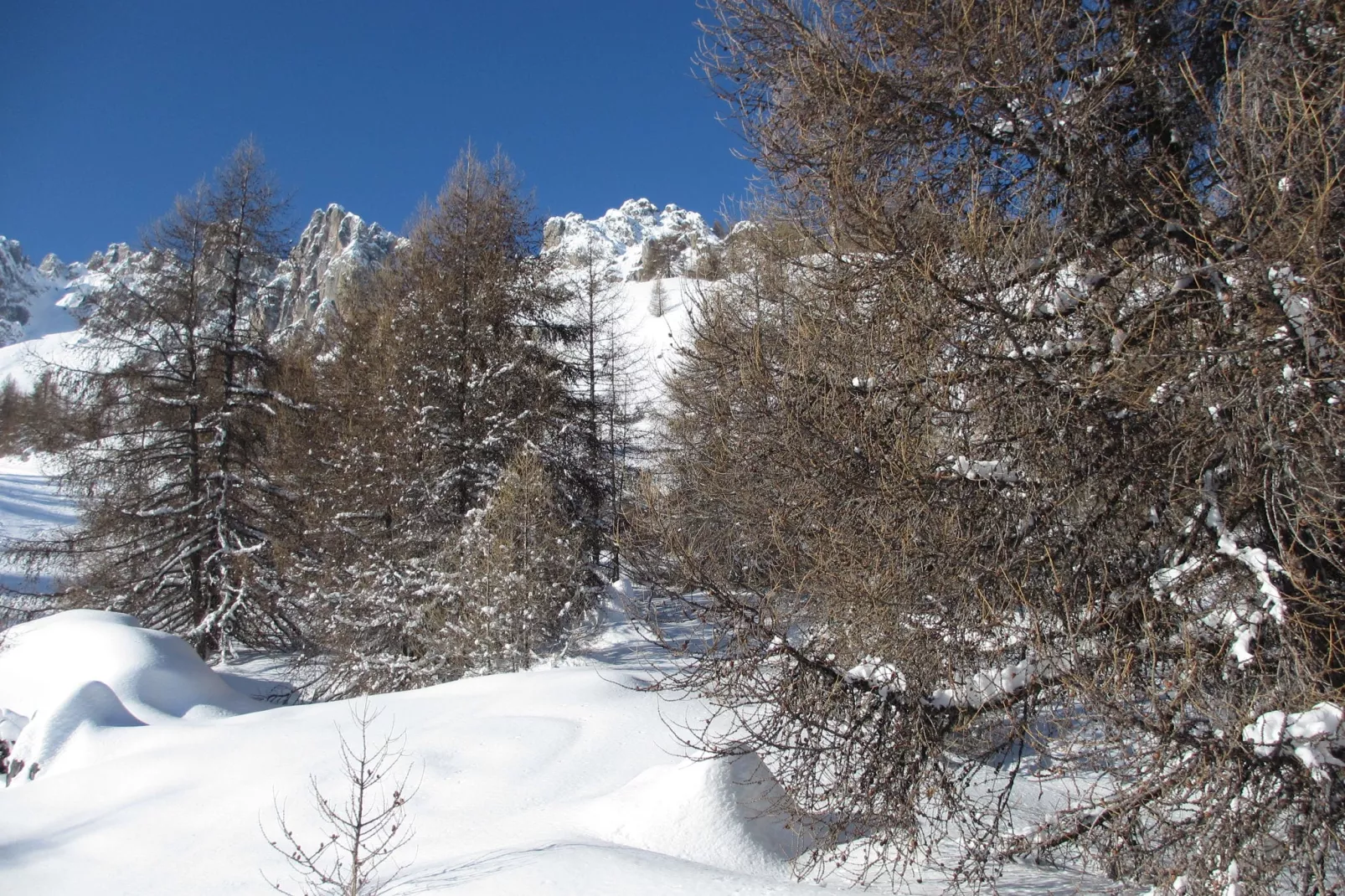 Chalet de montagne-Area winter 1km