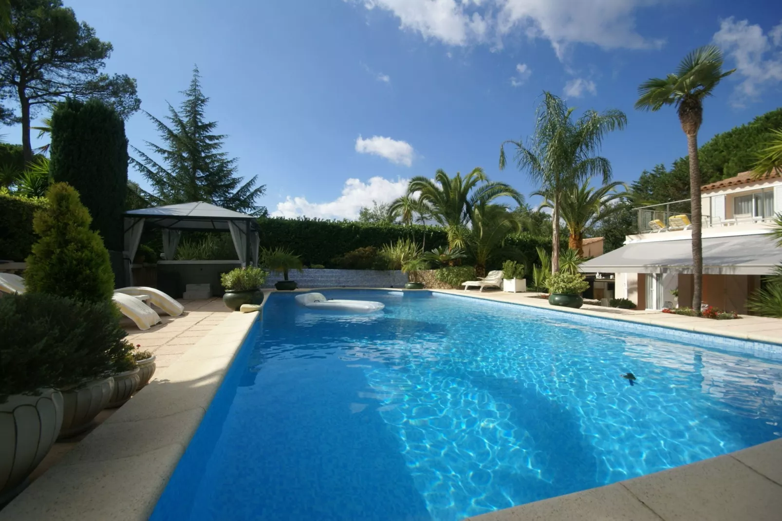 Palmiers-Pool