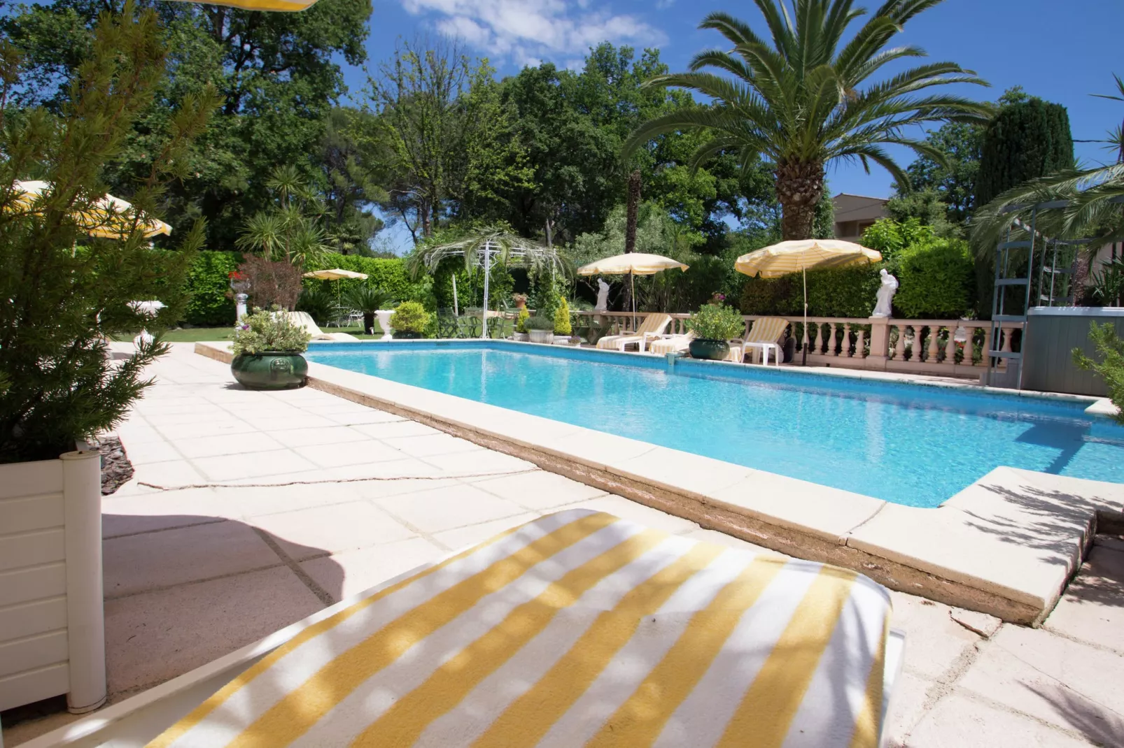 Palmiers-Pool