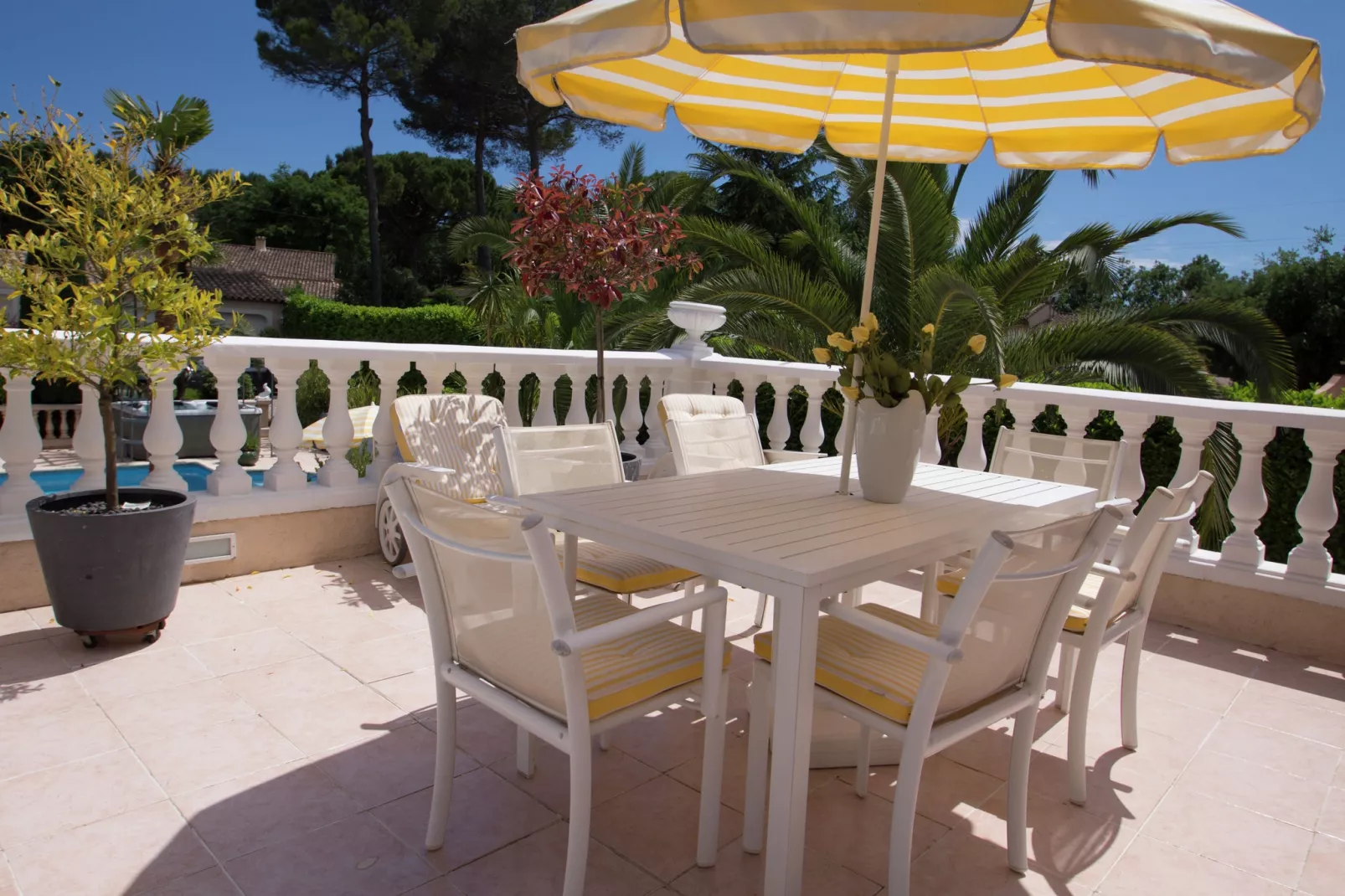 Palmiers-Terrace balcony