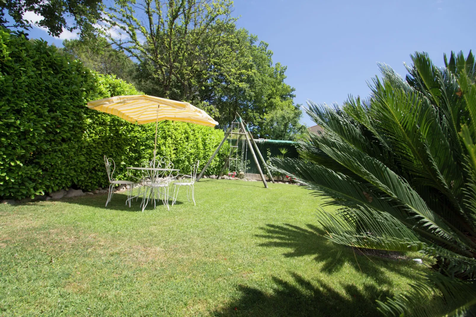 Palmiers-Gardens summer