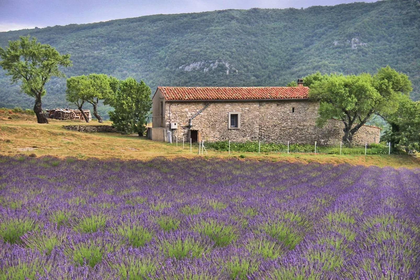 Vakantiehuis Mer et Provence-Zones d'été à 5 km