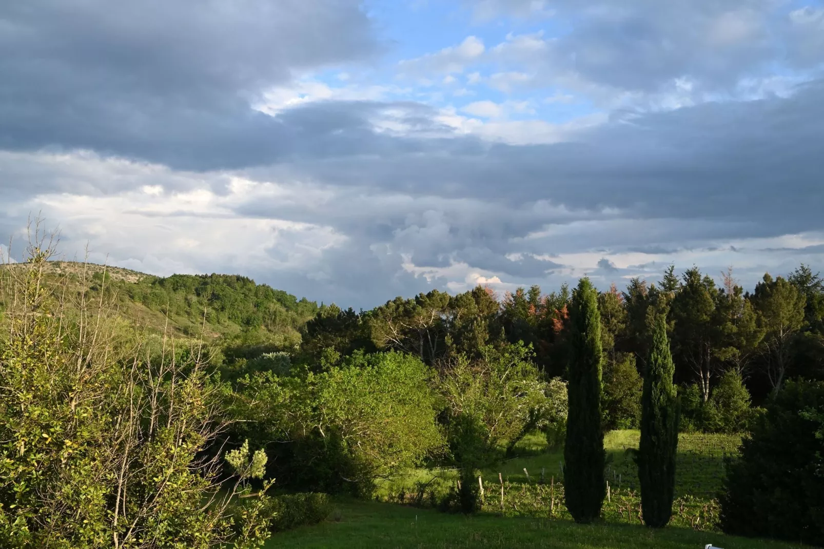 Villa - Largentière-View summer