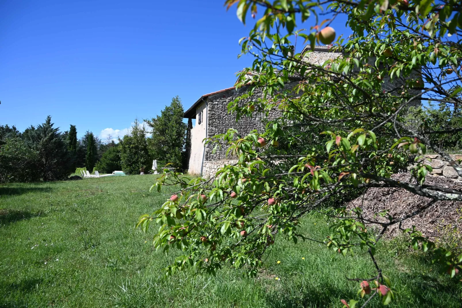Villa - Largentière-View summer