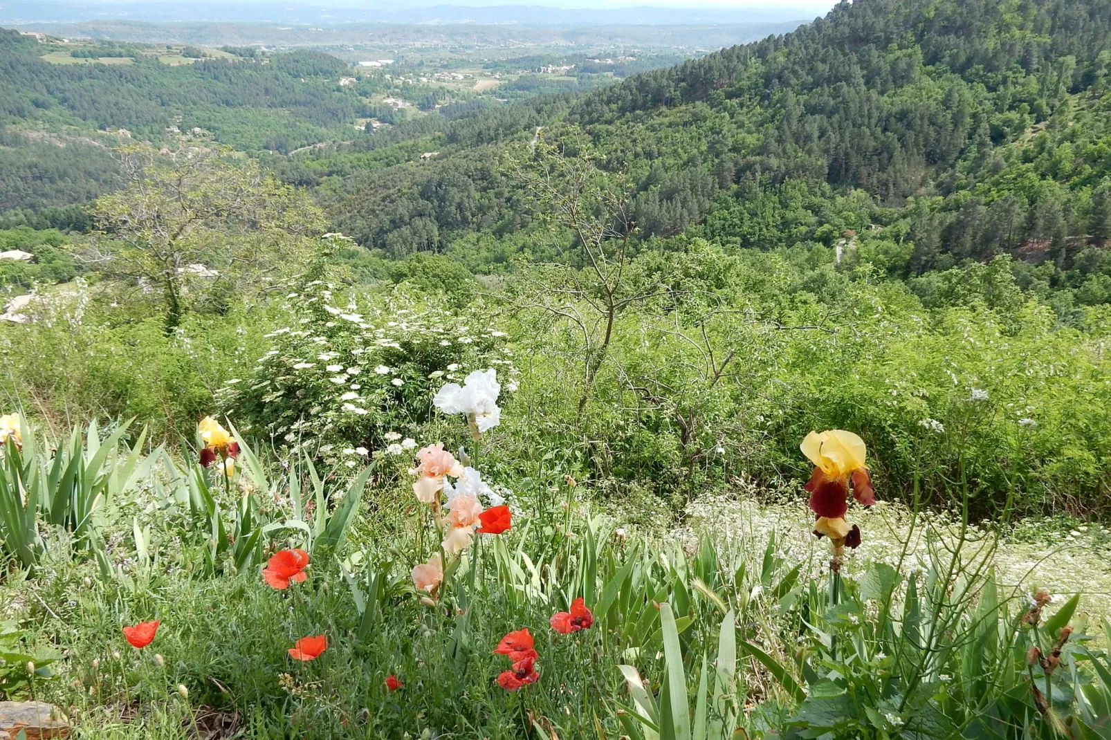 Maison de vacances Chassiers grand-Areas summer 5km