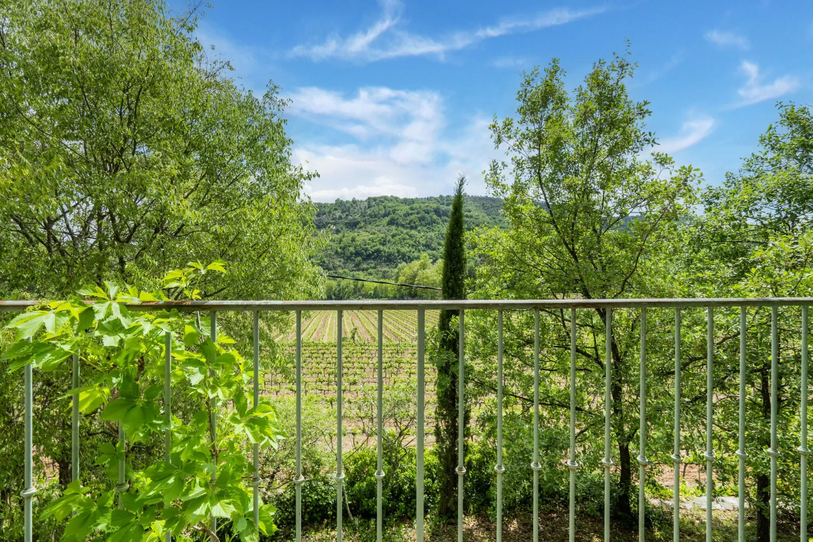 Maison de vacances - Les Assions-View summer