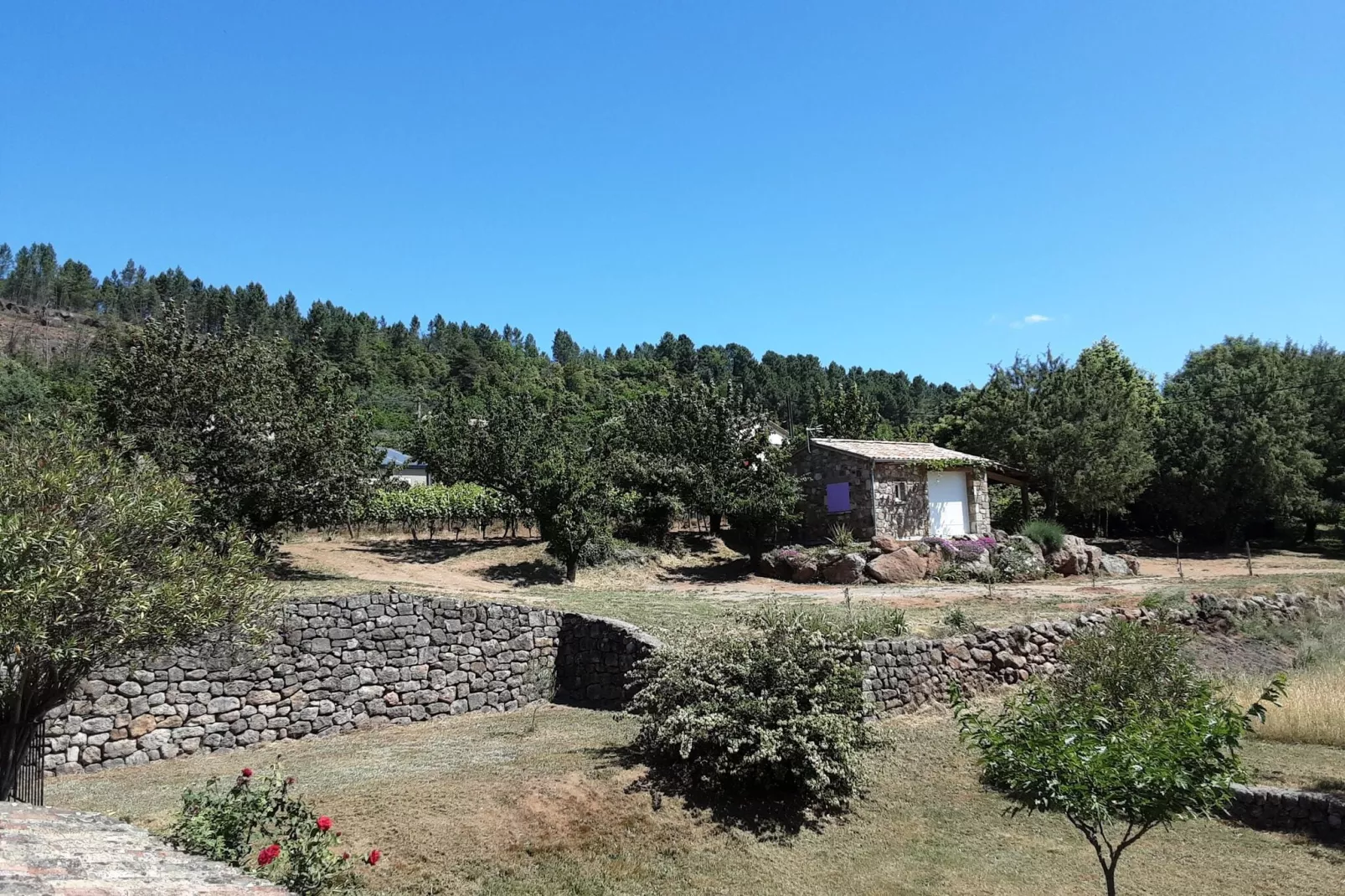 Kleines Steinhaus in Chambonas / Les Cades-Exterior summer